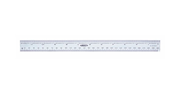 Escala Insize 7113-300A